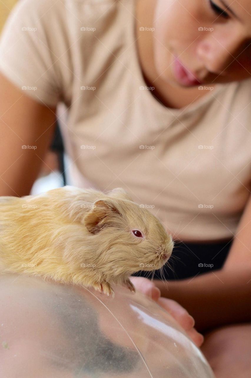 Girl enjoying her guinea pig