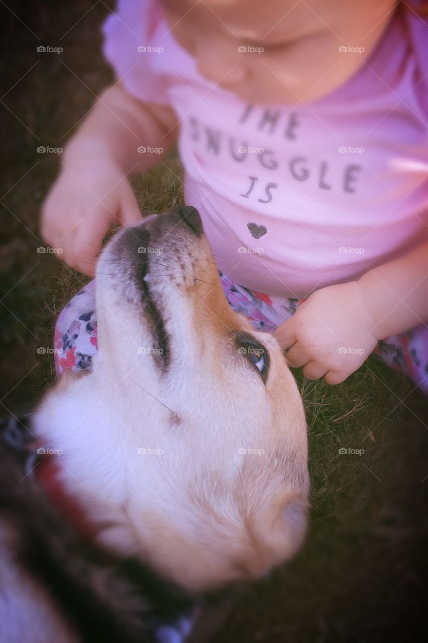 A furry friend looks lovingly up at a child on a grassy field