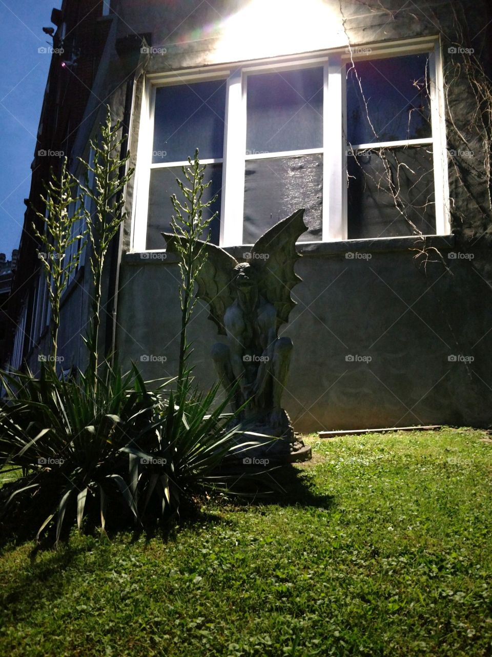A gargoyle statue in front of windows on a building next to palmetto bushes 