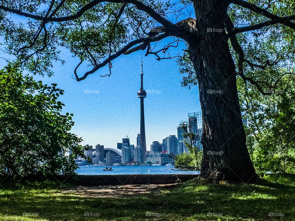 CN tower, Toronto, from the island across the lake