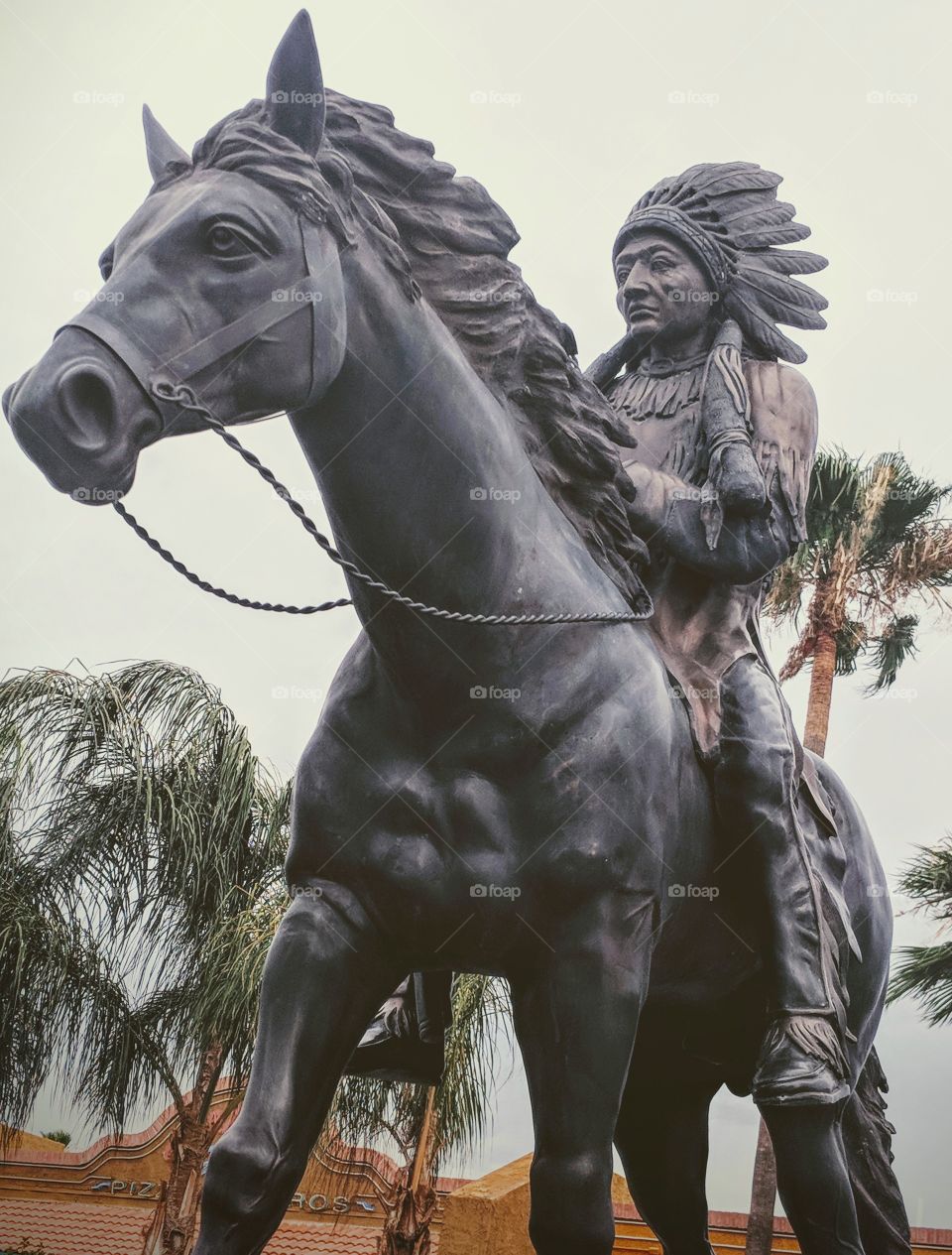 Indian riding horse