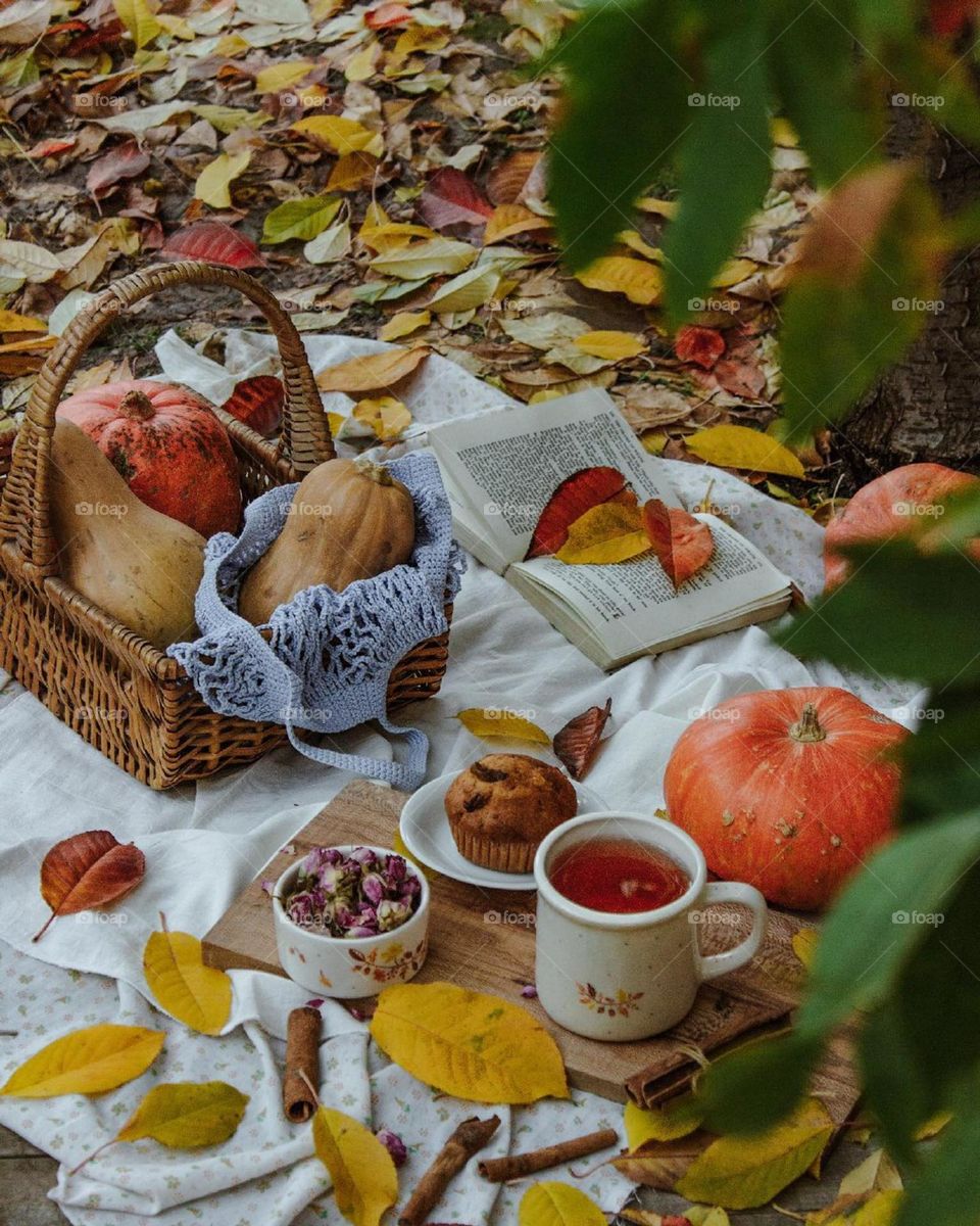 ground covered with beautiful Fall leaves! a basket of  pumpkins! a cup of hot tea! cake and book..Fall, Color, Taste and Happiness is  in the air...