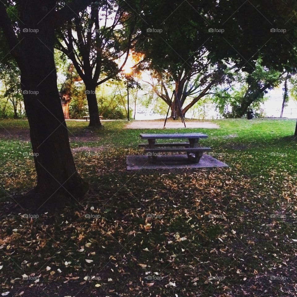 Fall picnic table at the park! 