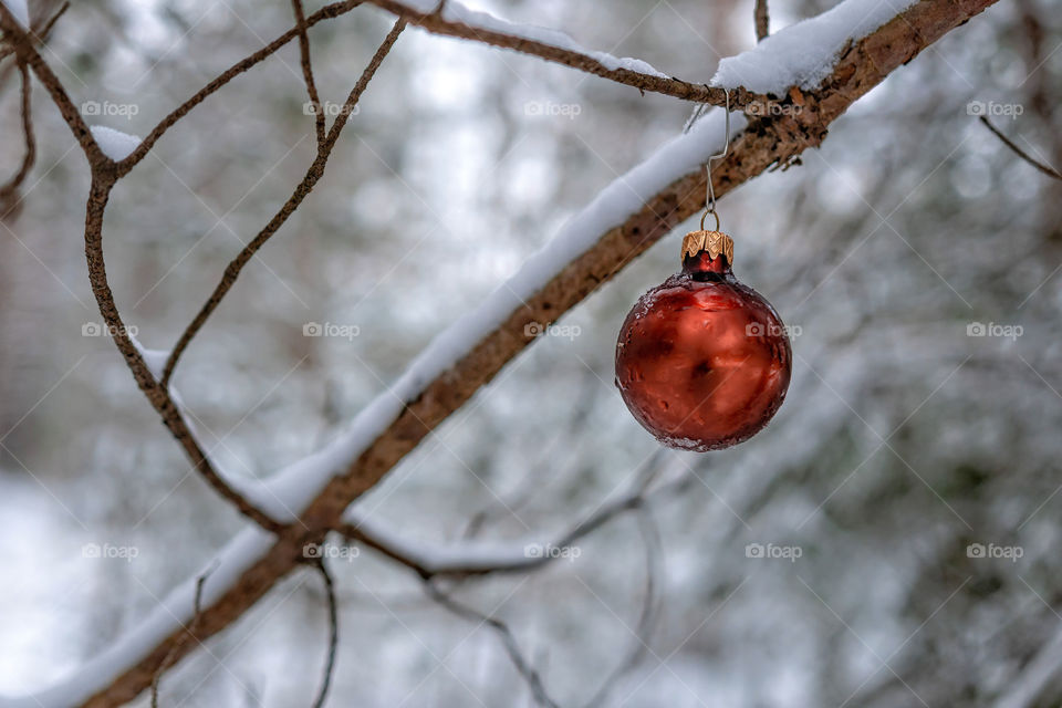 Red Christmas Ball on the snow covered Fir Branch next to the highway