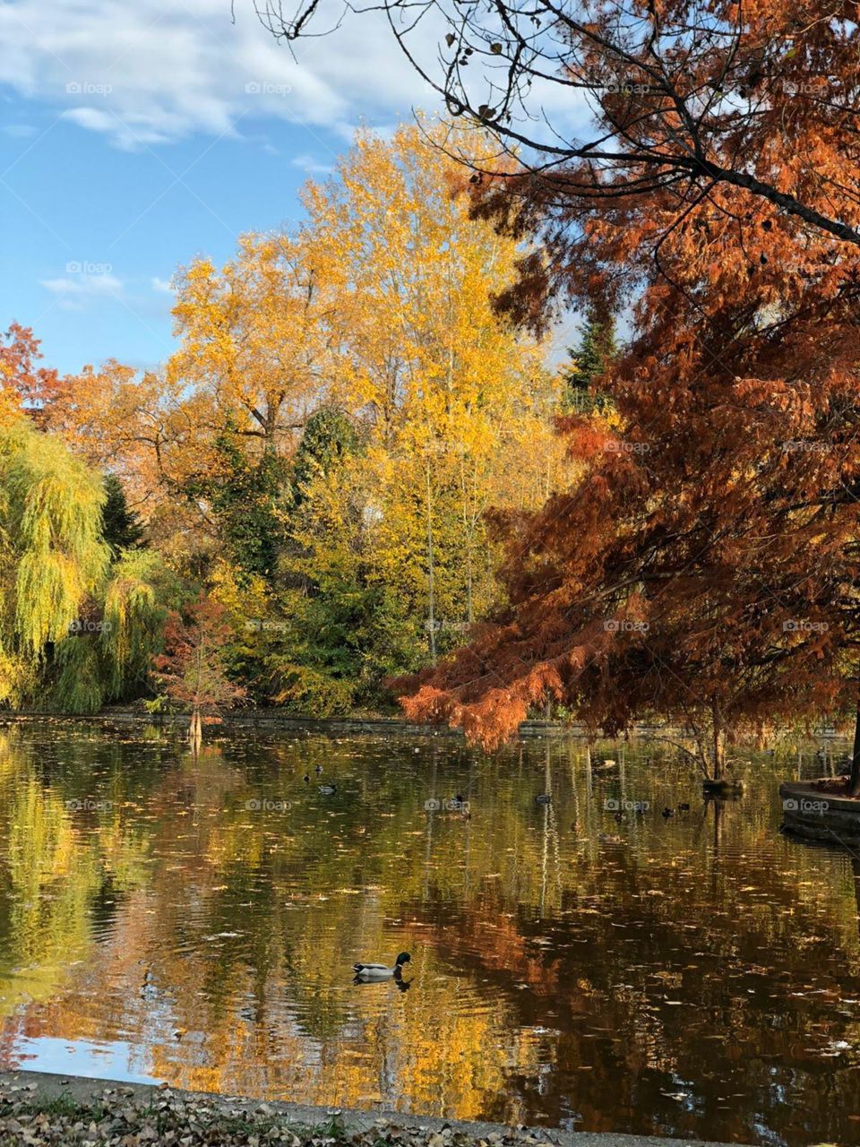 Autumn is a painting, isn’t it?