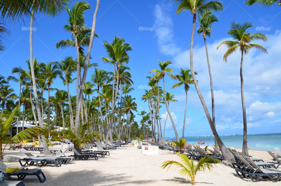 Barceló Bávaro Beach Resort, Punta Cana, Dominican Republic