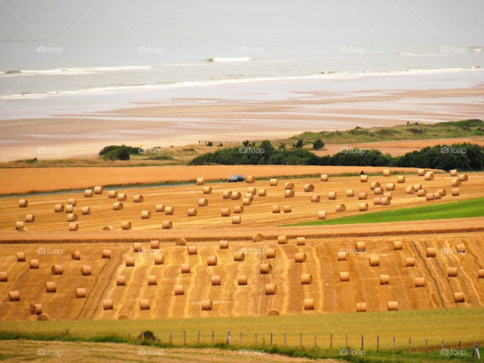 Cap Blanc Nez France