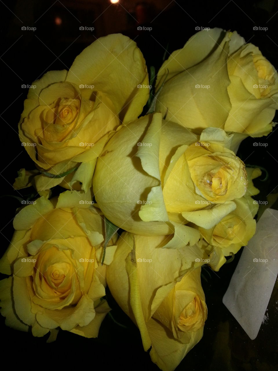 yellow rose. I am his yellow rose of texas