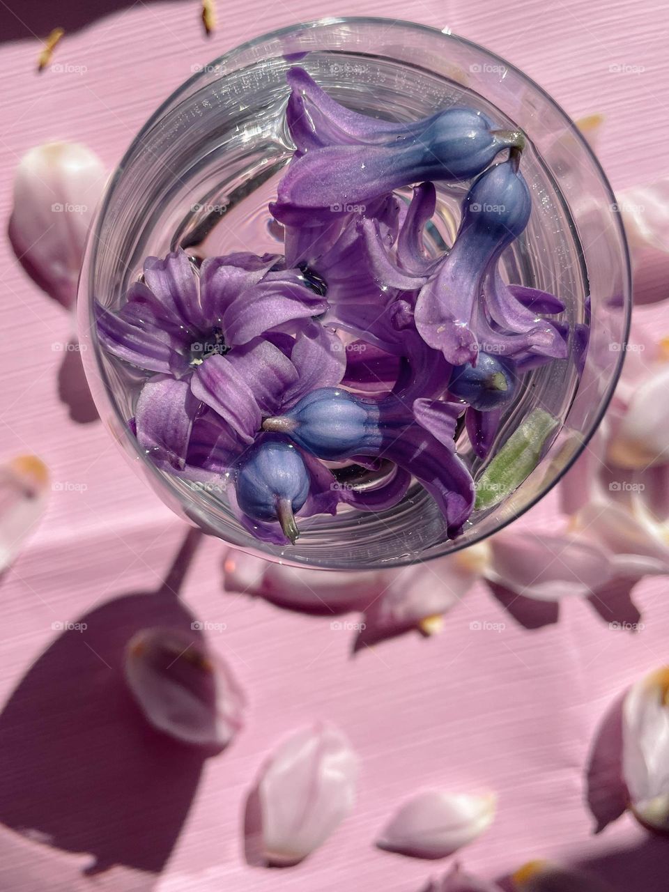 Spring is in the air 💜