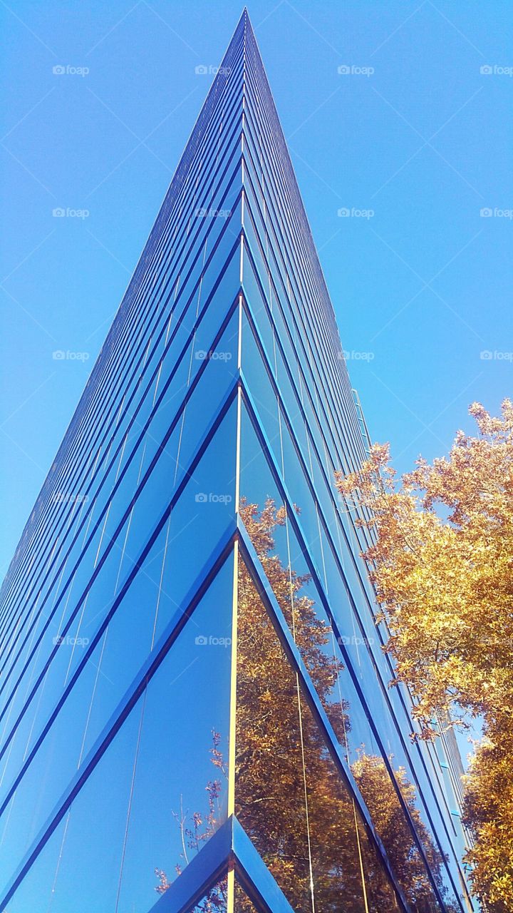 Low angle view of modern building