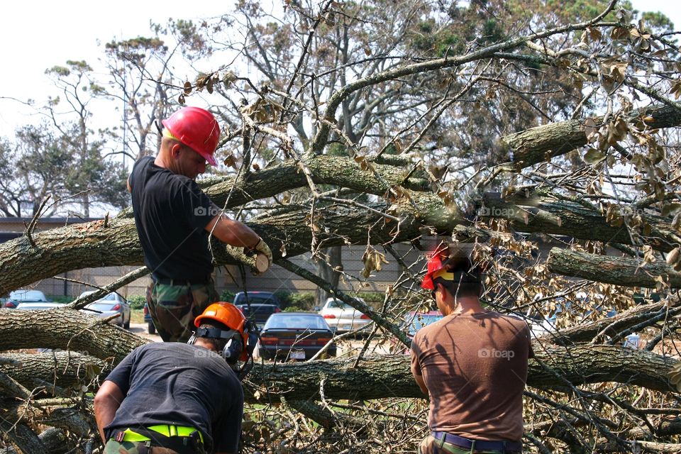Three Civil Engineers cut tree felled by Hurricane Katrina 
