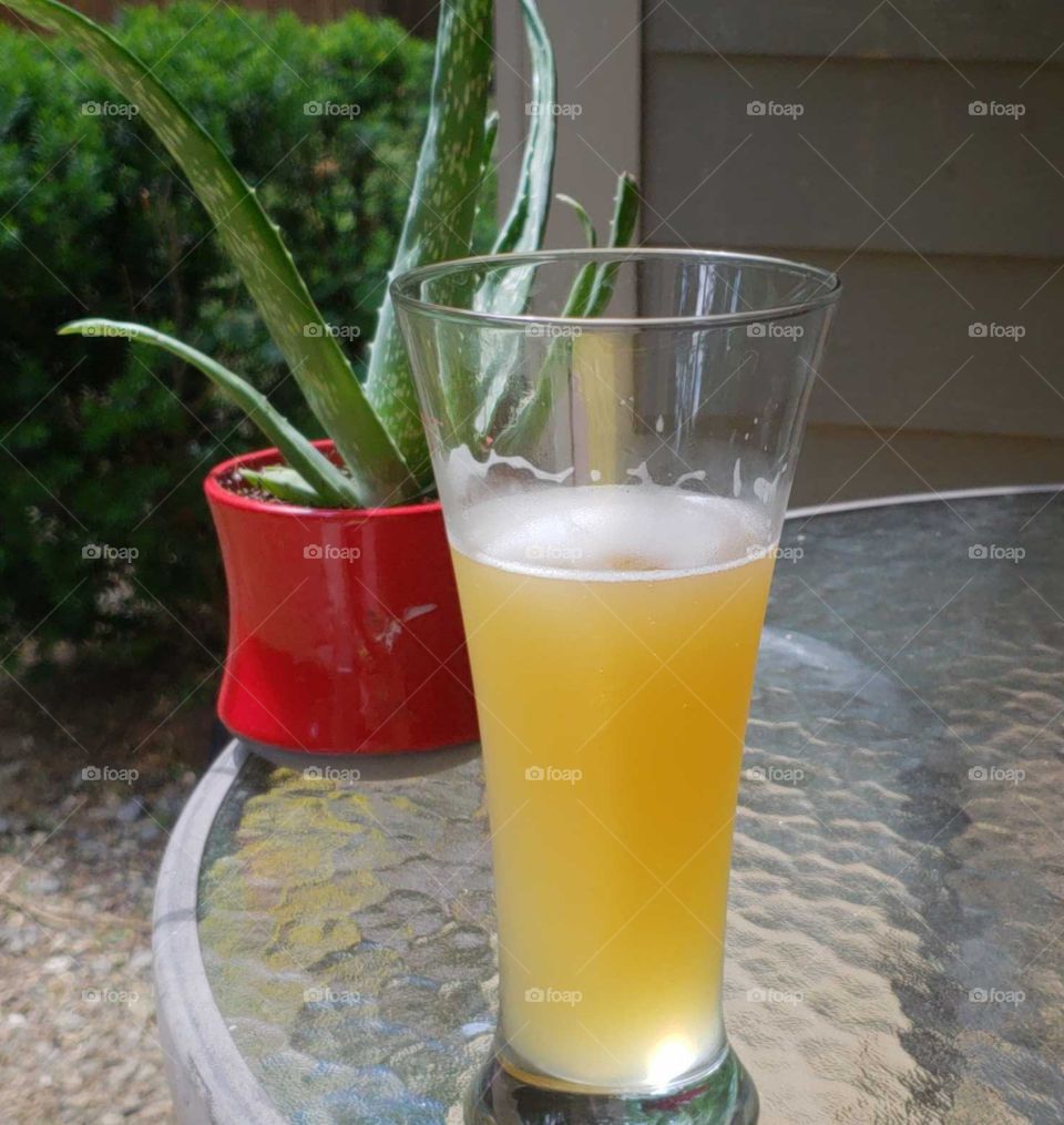 Grapefruit Beer