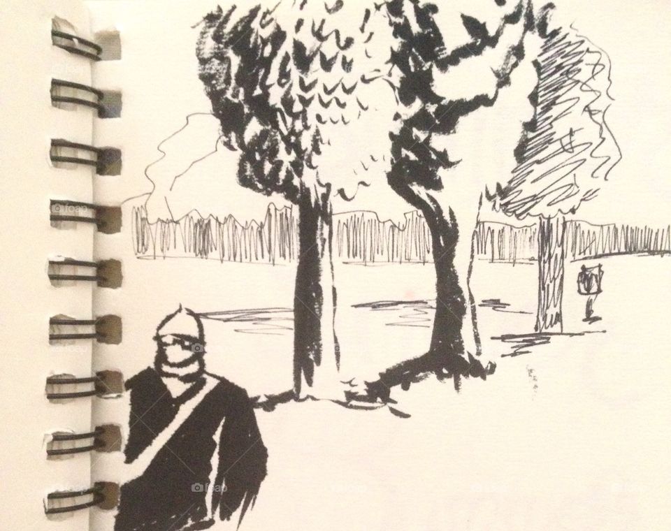 Sketch trees 