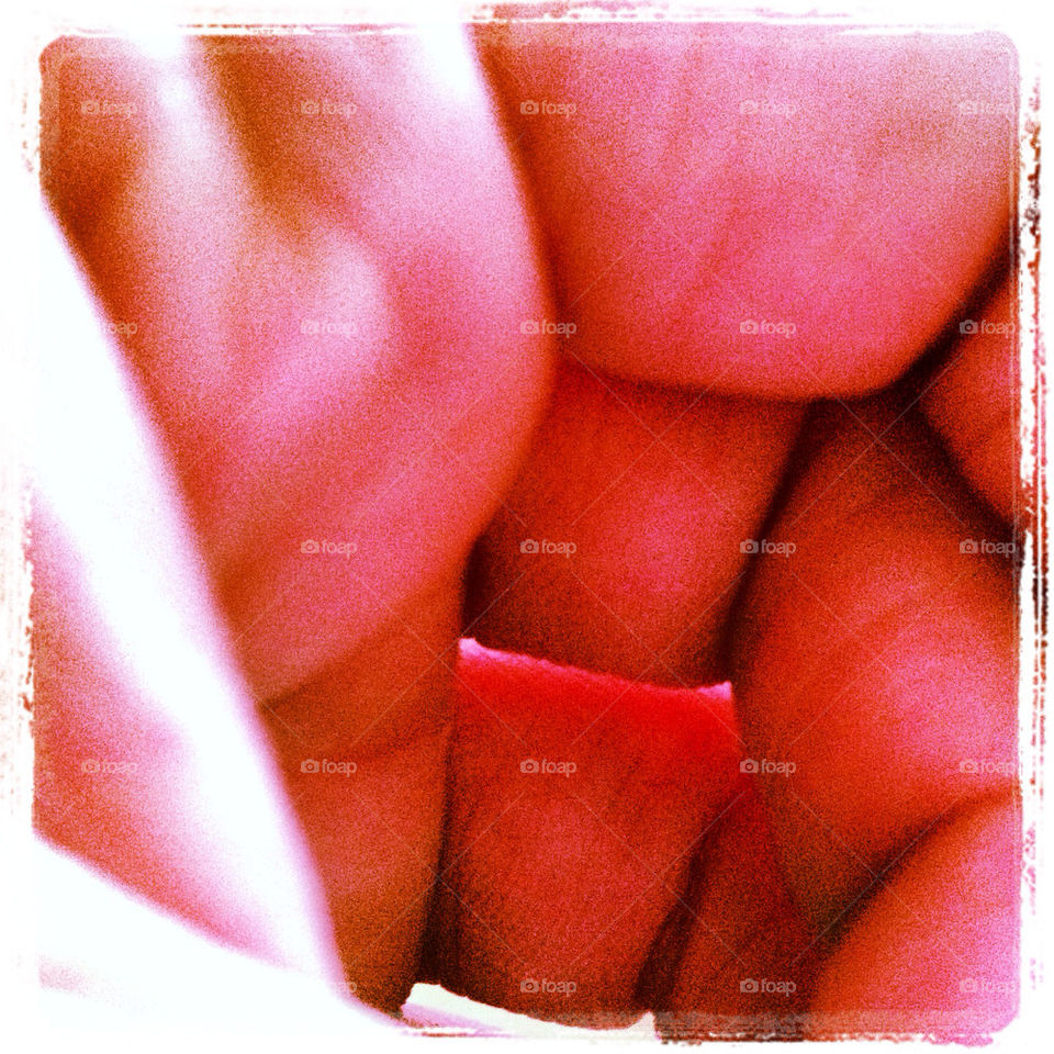 closeup hand finger by gabri