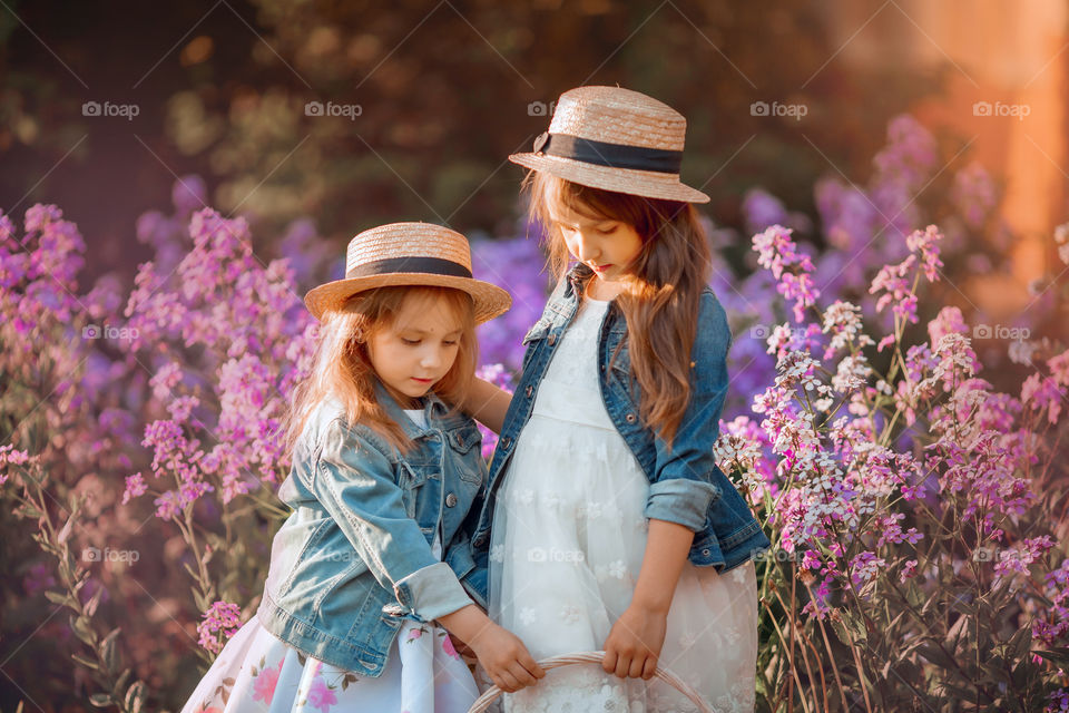 Little sisters in a blossom meadow at sunset 