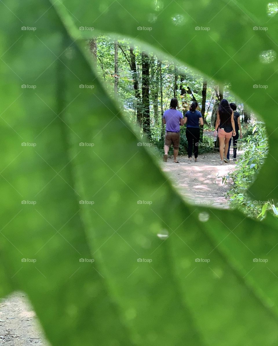 Hikers viewed from a leaf hole. 