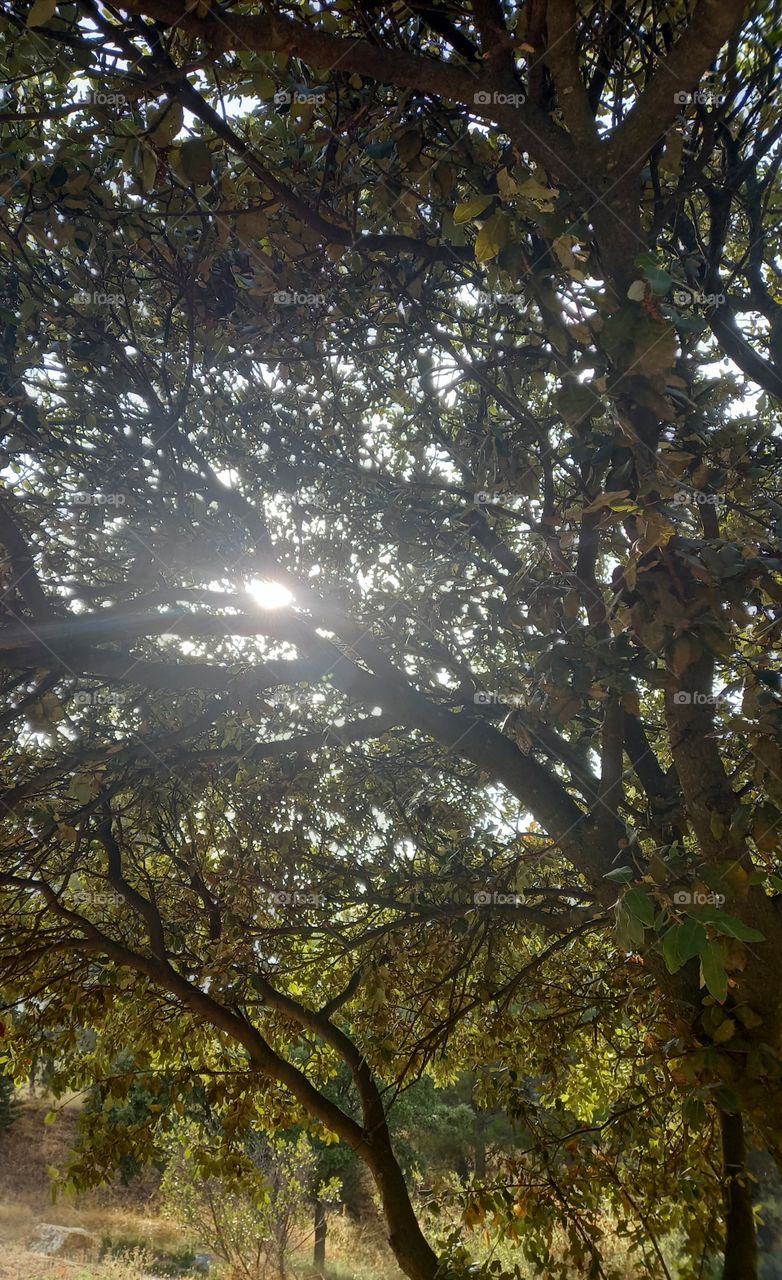 The power of the sun