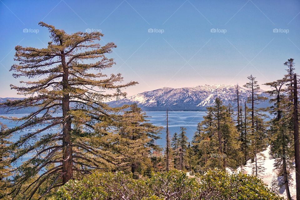 Tahoe 