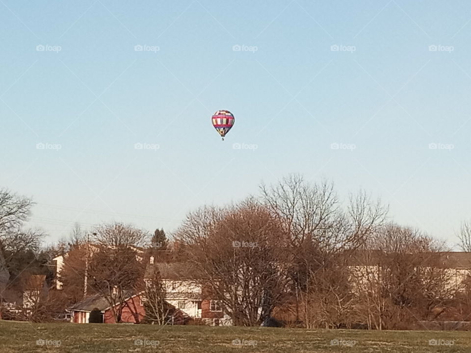 hot air balloon, country, farm, sky, scenic, tree,