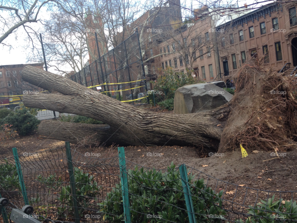 land danger falling storm damage by michaella