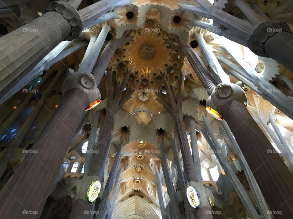 Ceiling of sangrada familia 