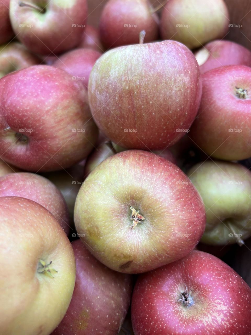 Apples in the market 