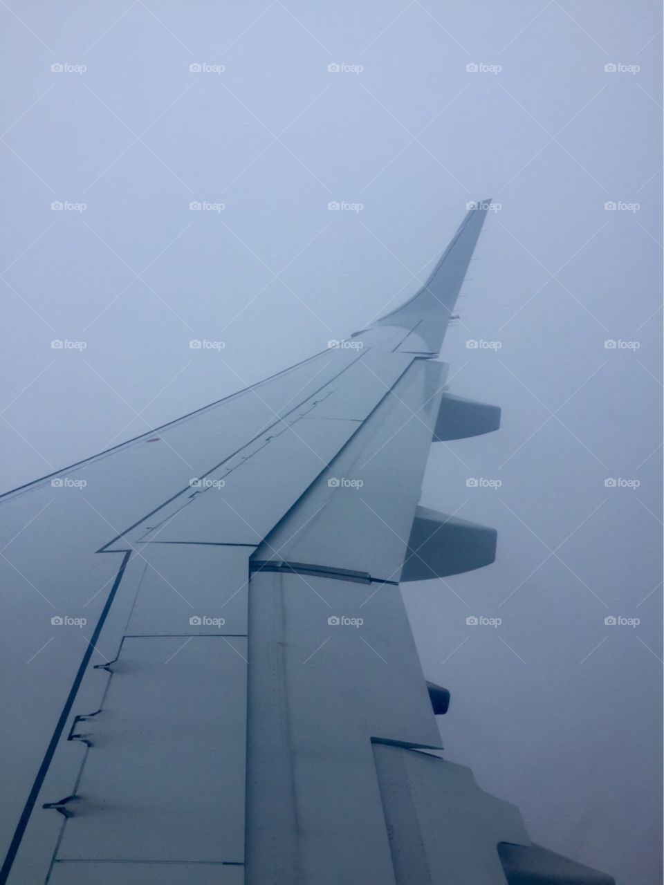 Traveling through the foggy skies