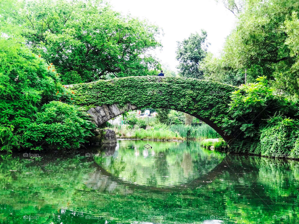 Beautiful bridge , greenery, Central Park, Newyork- piece of greenery in the concrete jungle 