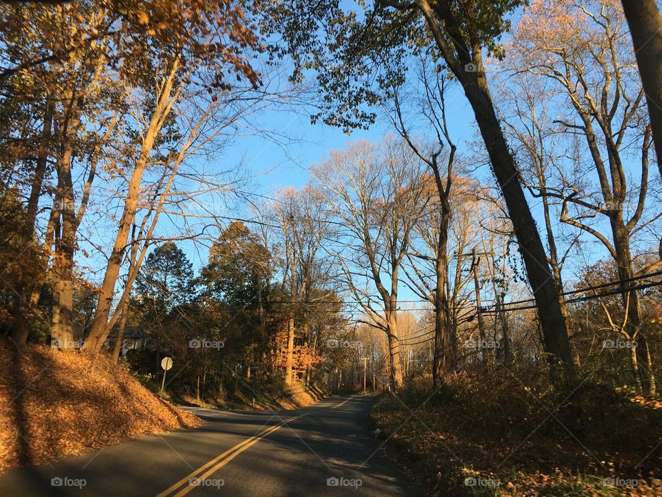 My street in fall