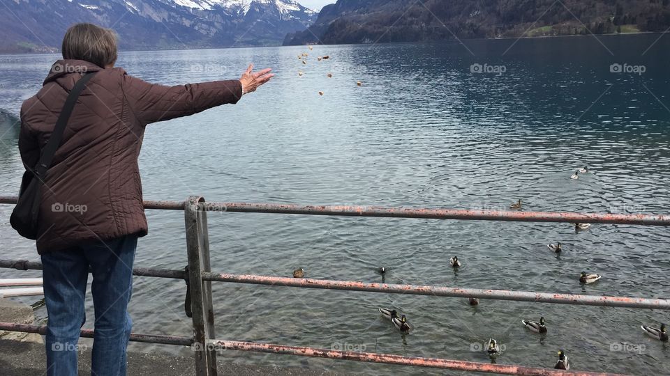 Feeding birds by the lakeside 