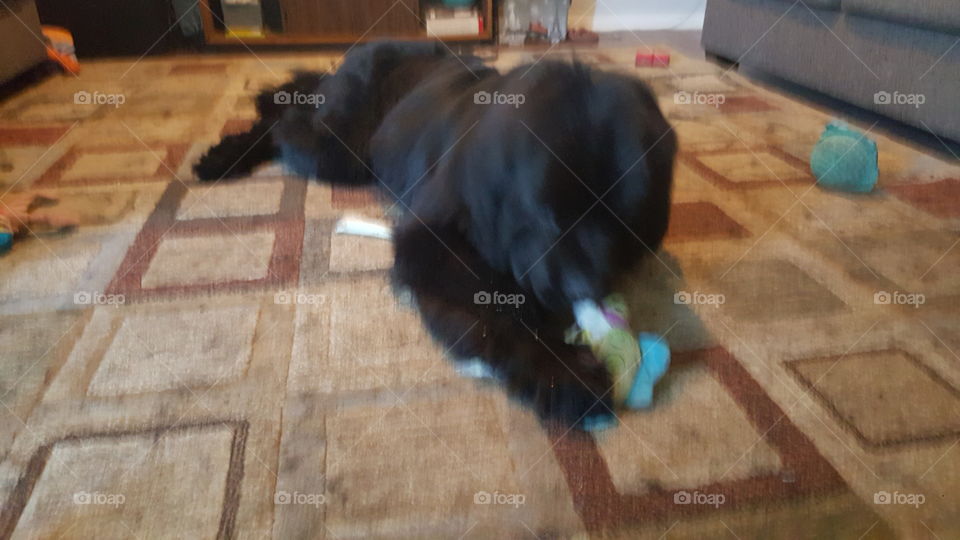 People, Recreation, One, No Person, Indoors