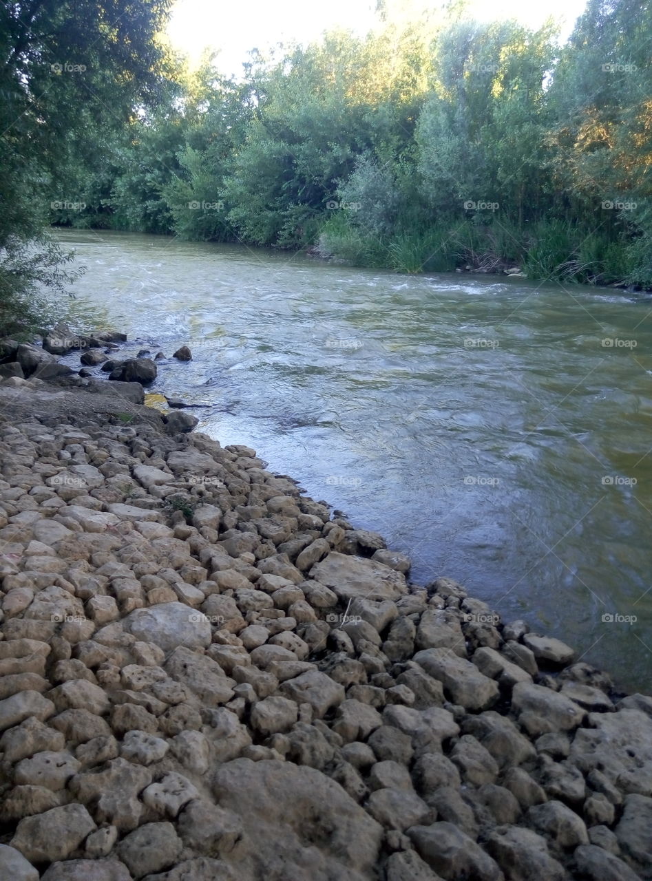 curso del río