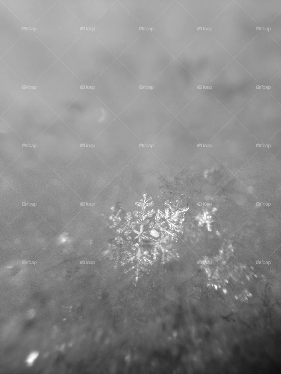 Snowflake taken with macro lens on iphone5