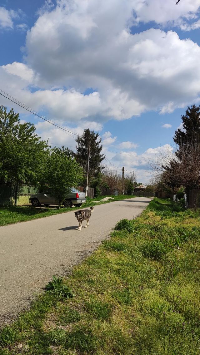 walk