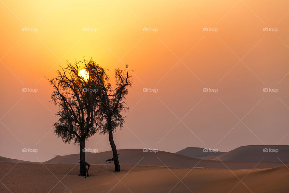 Enchanting sunset in the desert