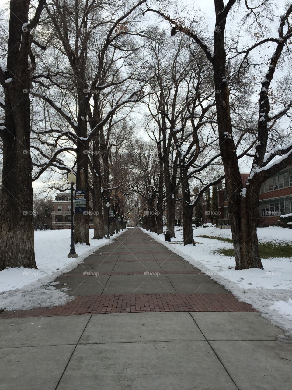 Cold winter day walking on the UNR campus in Reno, NV
