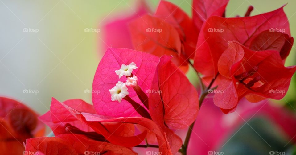 Nature and its beauty