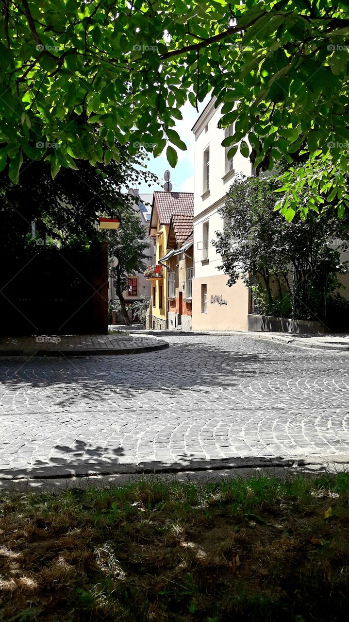 Magic of the streets in Lviv