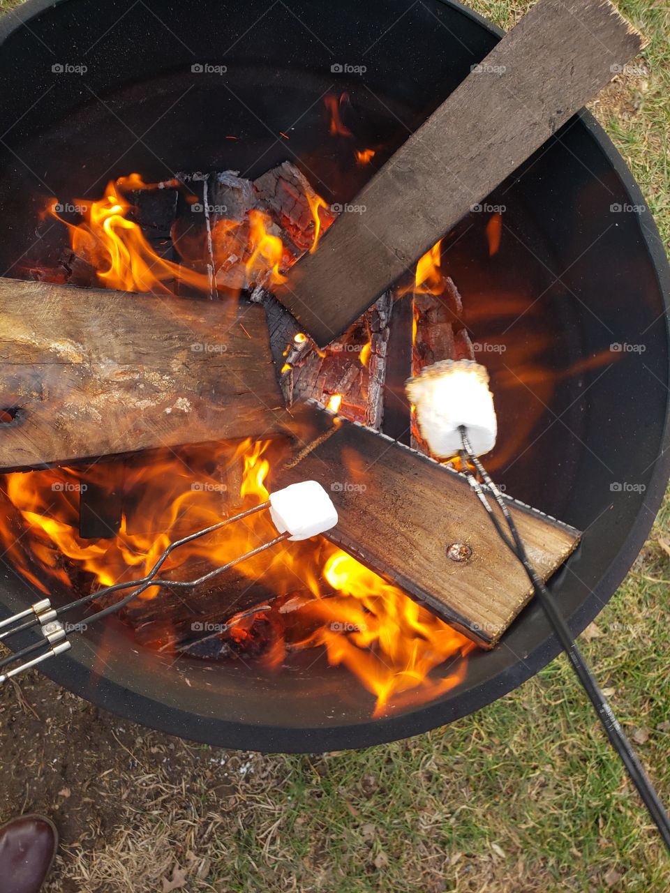 A roaring bonfire, 2 forks with marshmallows being roasted on the open fire