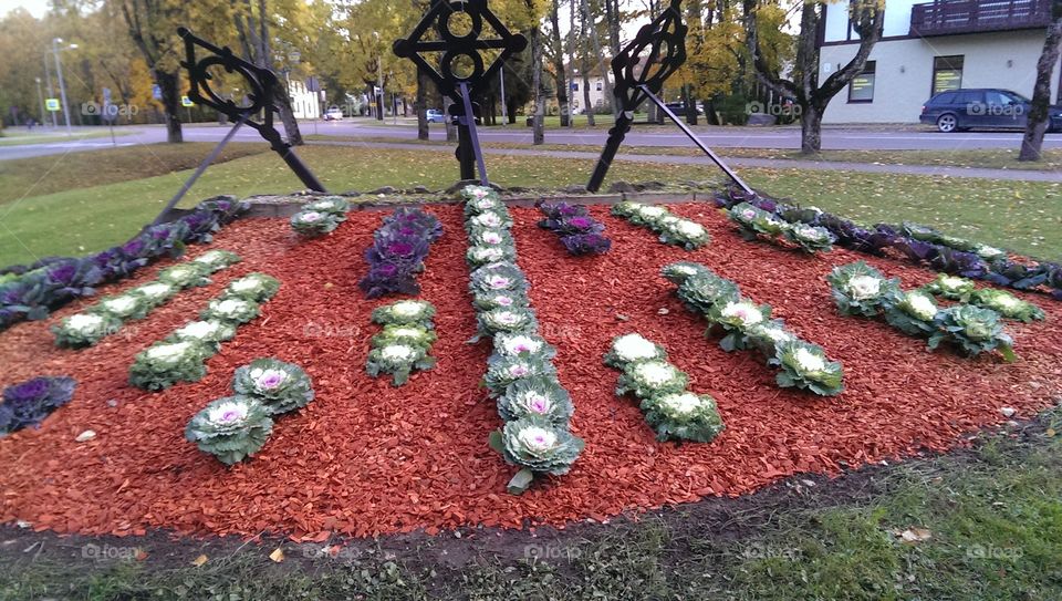 interesting garden idea