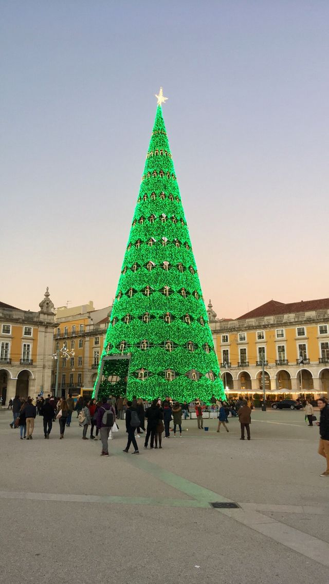 Lisbon's christmas tree 