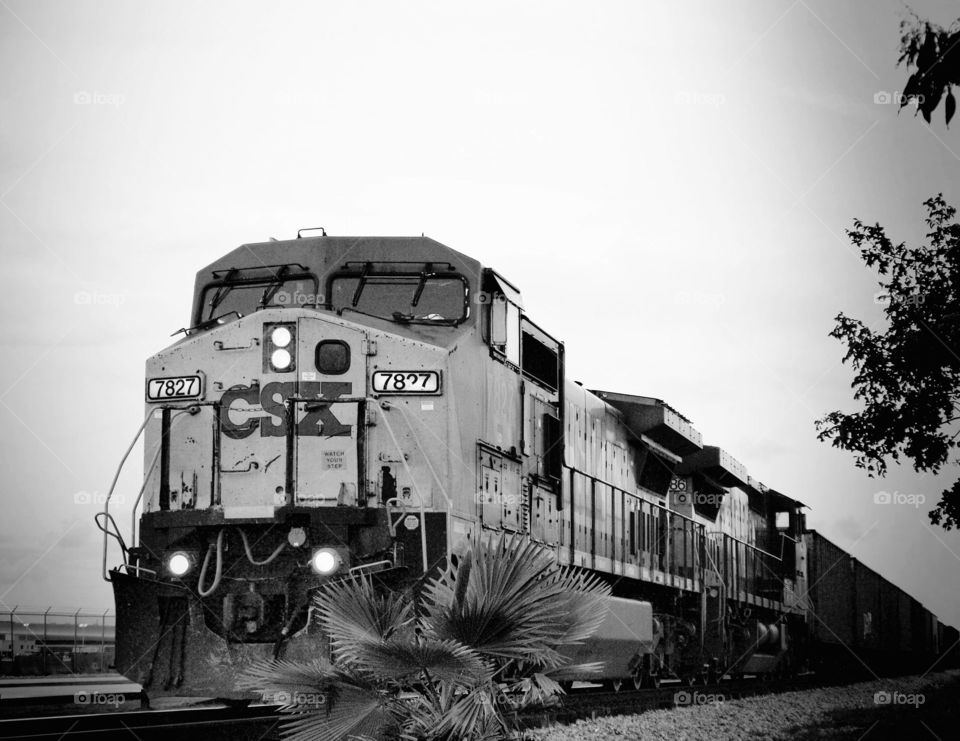 Black & white  Transportation - Train - Mia - Miami, Fl / Olympus E620