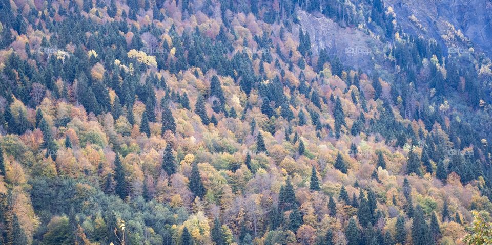 Beautiful autumn scape in Georgia 