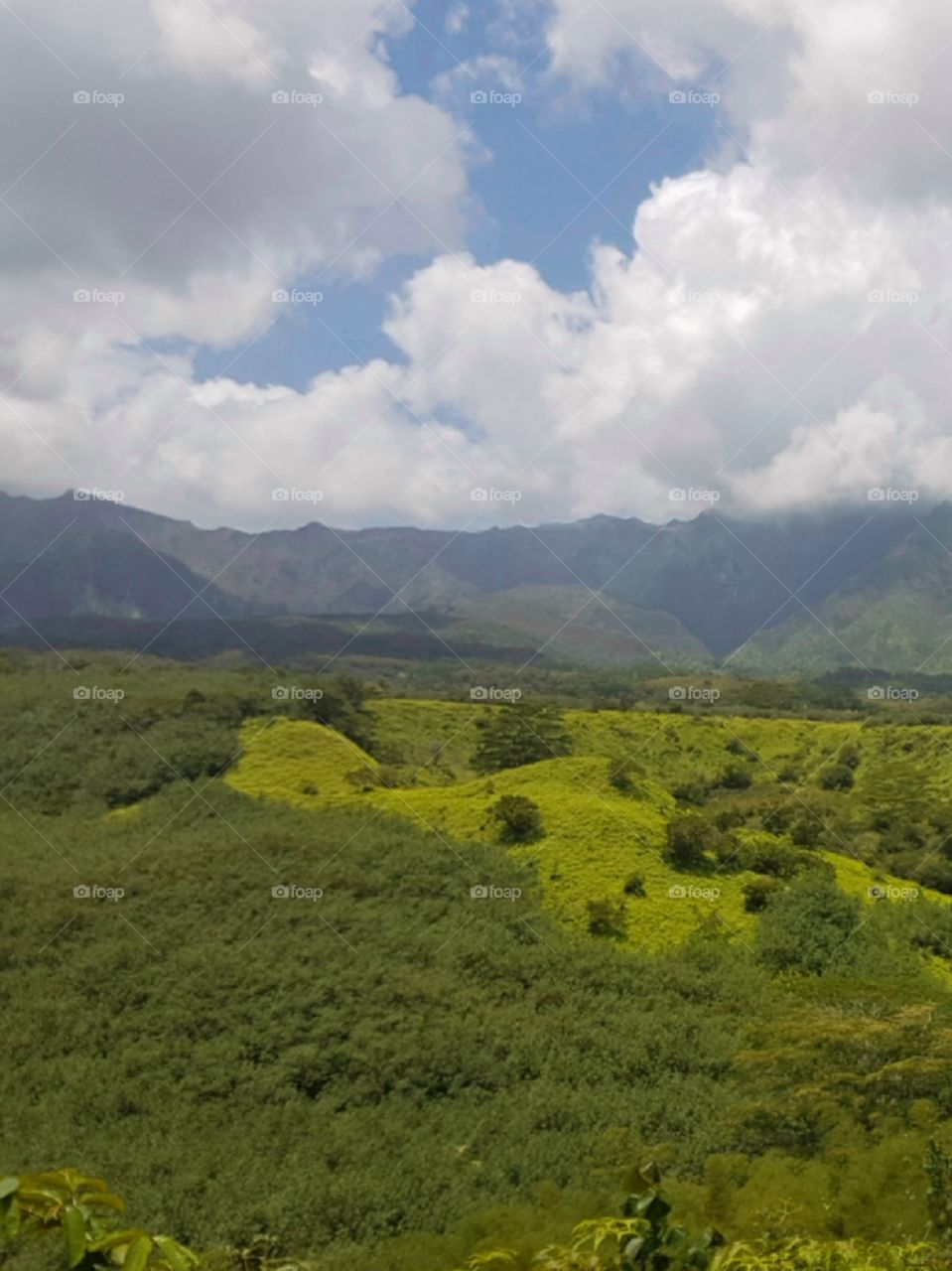 view of lush green forest, fields, and hills on the island of Kauai, in Hawaii, on cloudy day