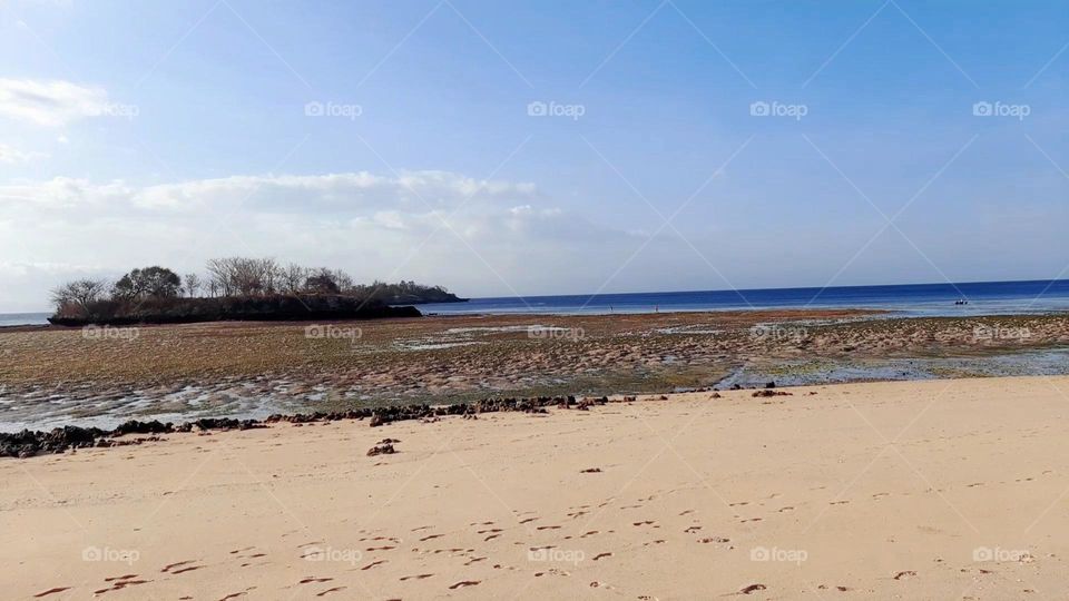 Pink Beach Lombok Island