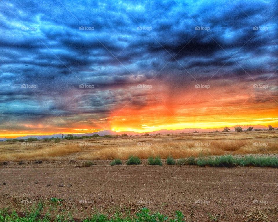 Sunrise in Scottsdale 