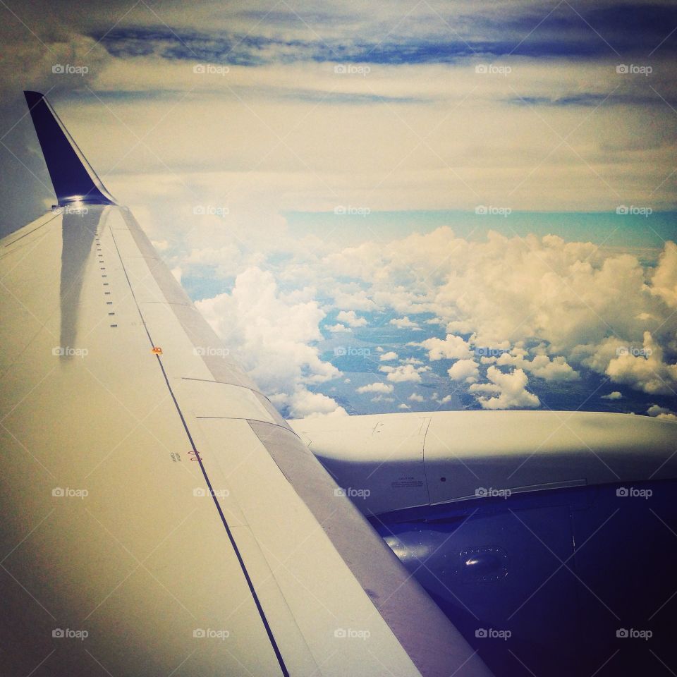 Soaring Through Skies