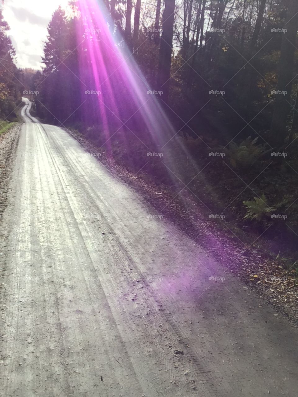 Purpel sun beam. Shining on contery dirt road