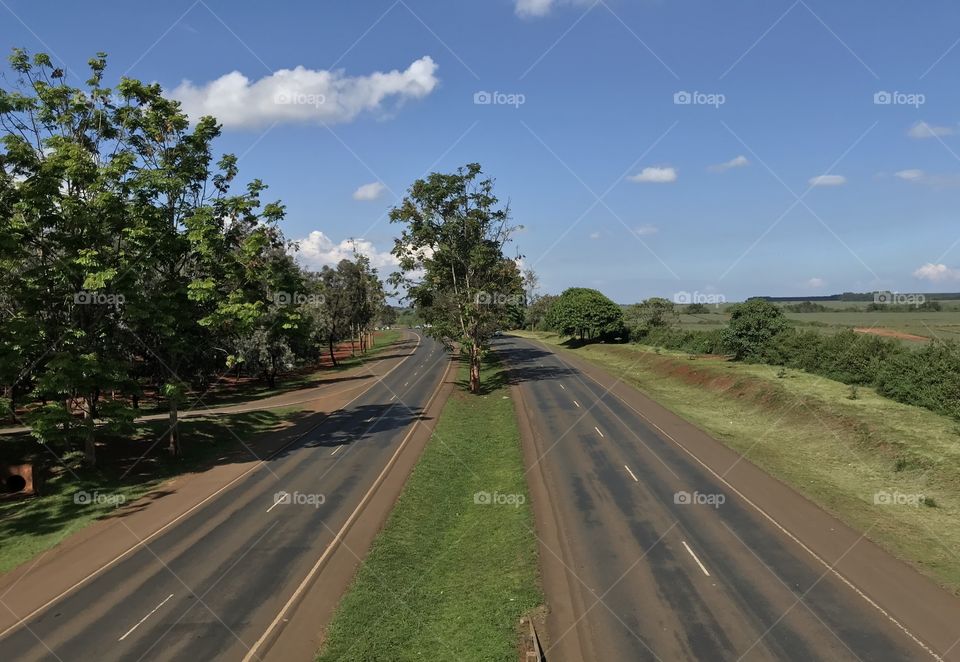 Thika kenya superhighway with exotic trees on the highway sides