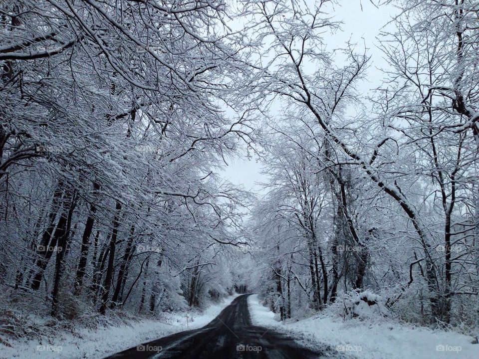 Winter road